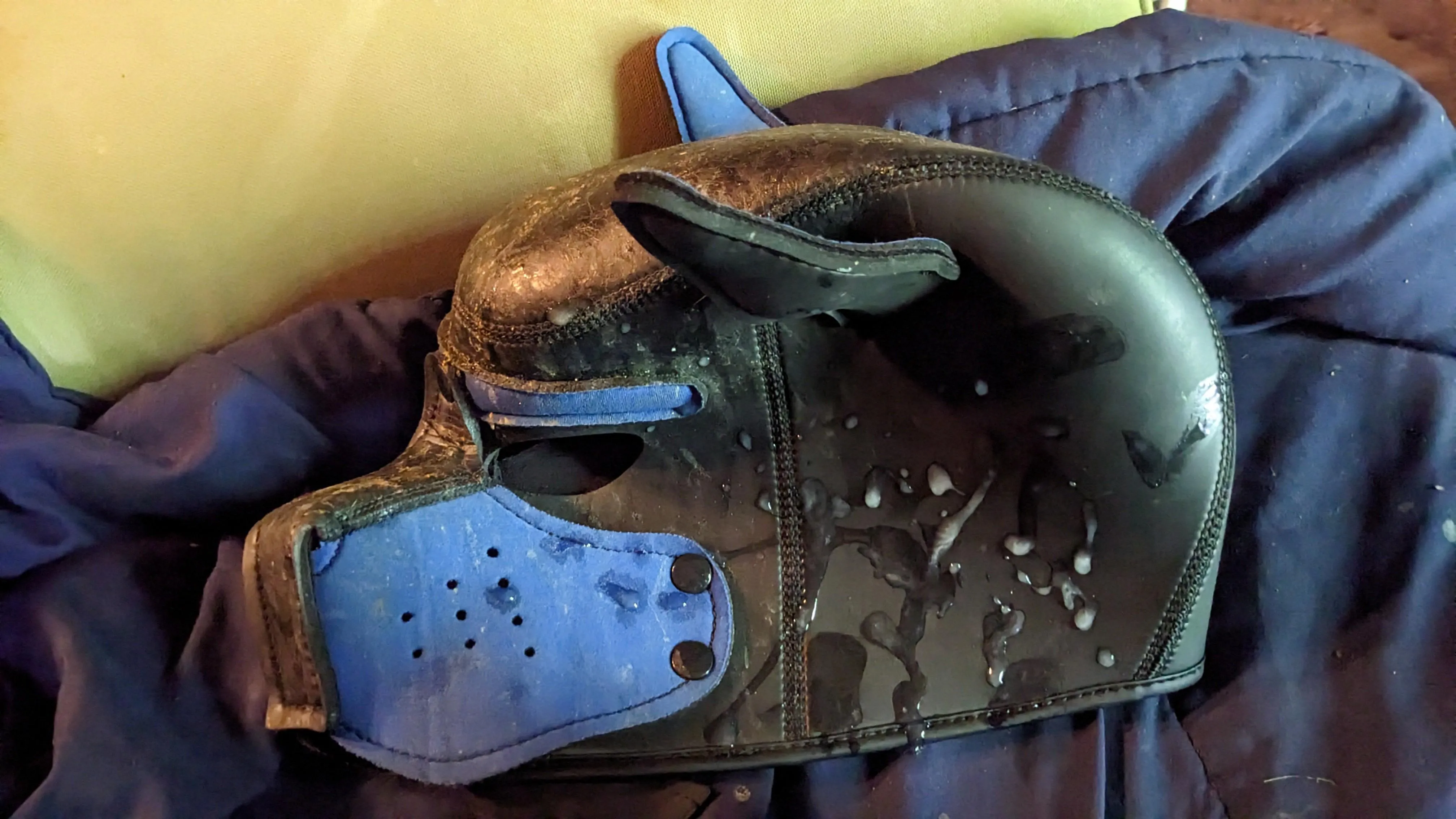 Just adding to my mask from last year.