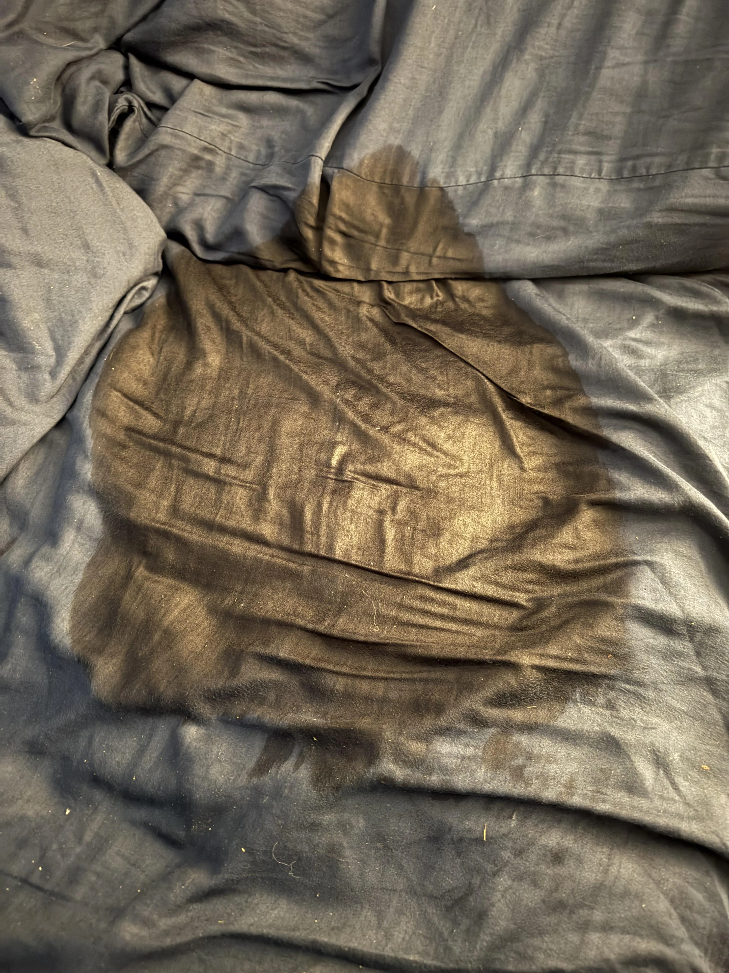 Omg! The (f)lood gates were opened!!! Hahahah