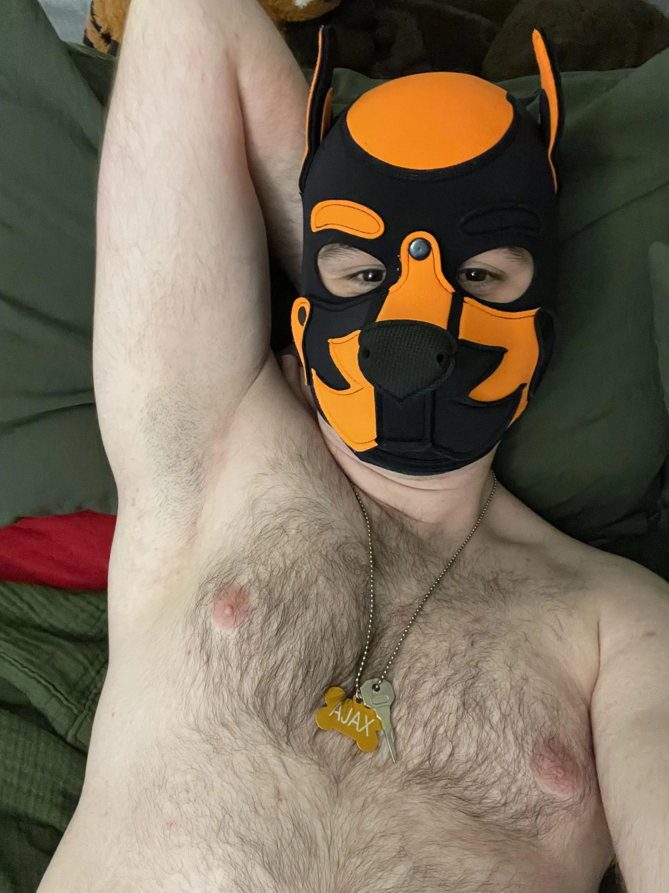 Shhhhhh it’s okay pup, I’m just keeping your key safe. How about you bury that muzzle in my pits and forget about everything