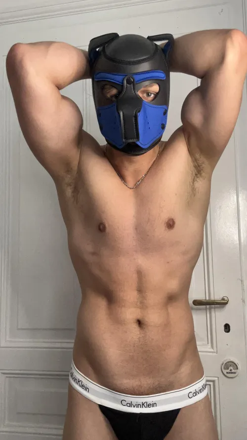 Would you play with me?