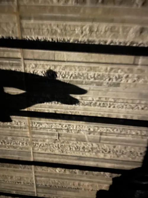 Ain’t ever wrong to light up after a bad day