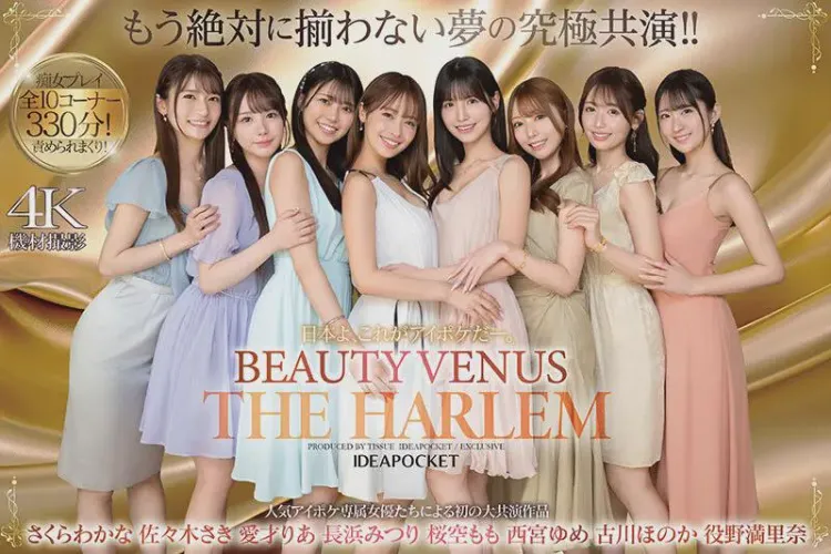 Beauty Venus: The Harem Review – IPZZ-586 (Special Review)
