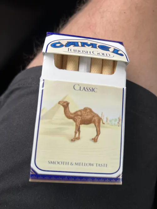 I feel like this is equivalent to finding a unicorn in today’s day and age. My Exxon just got them in. Hands down #1 of all time.