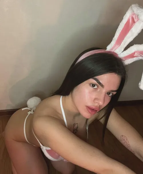 i heard youre looking for a new pet