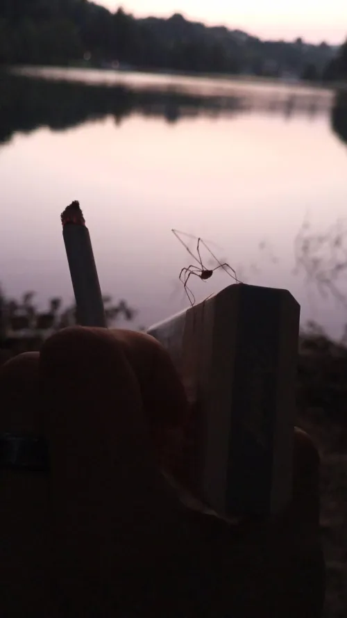 Smoking Davidoff Golds at a lake in Bosnia listening to EKV