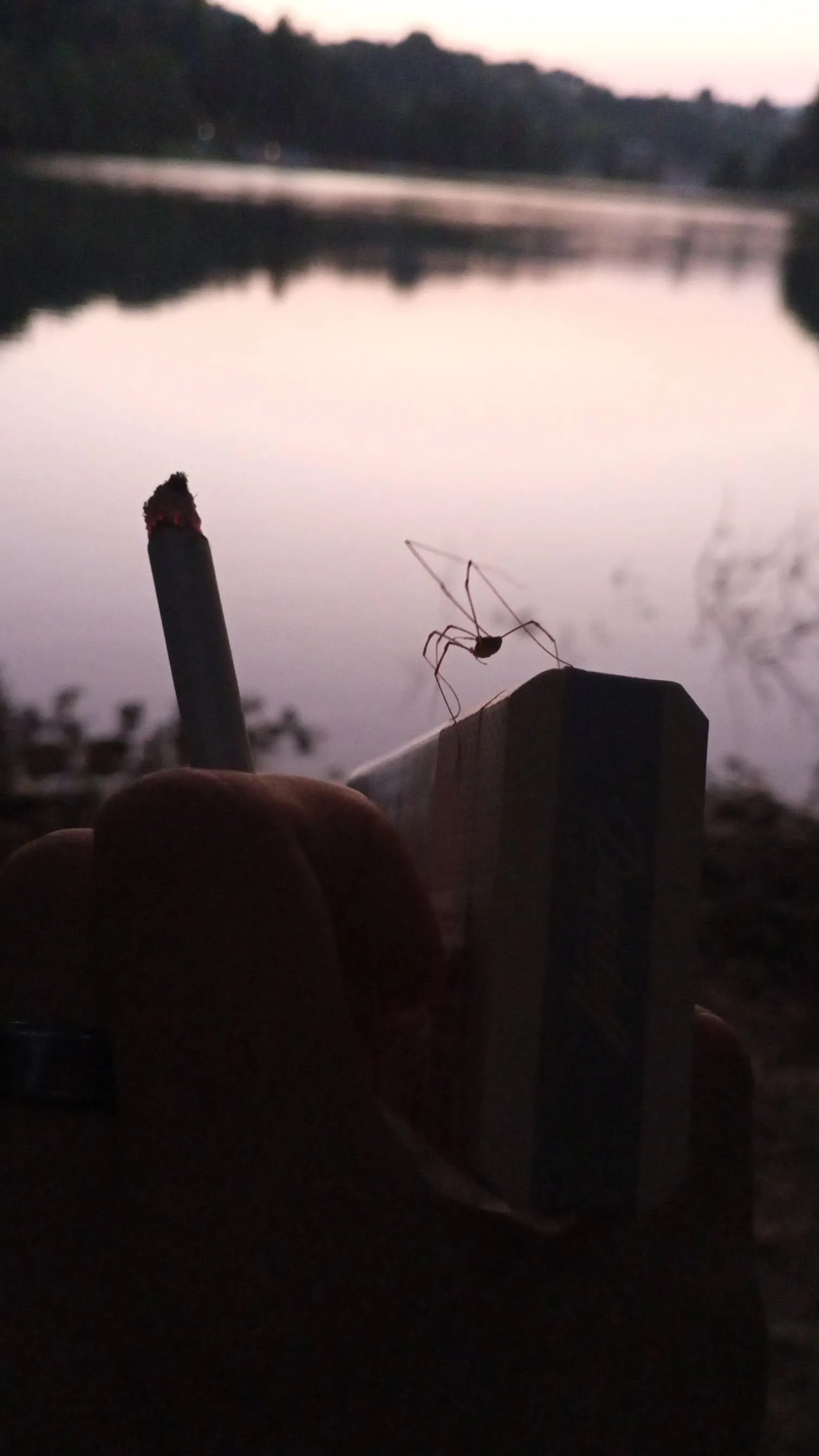 Smoking Davidoff Golds at a lake in Bosnia listening to EKV