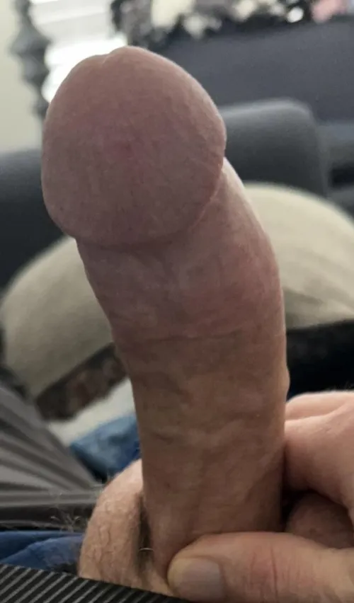 Any [f] interested in a no-strings fuck? 36[m] hosting late night fun. North Knoxville