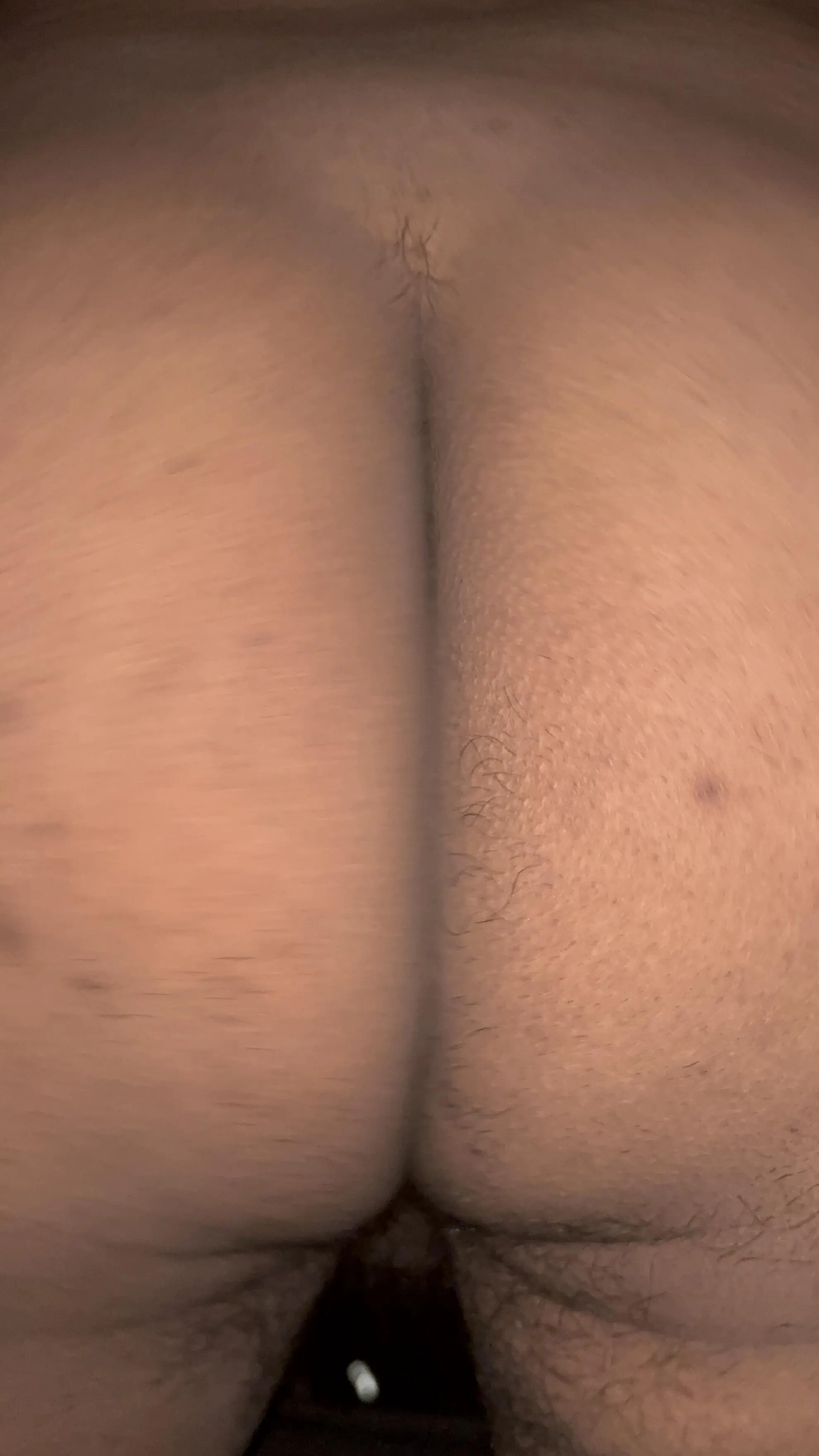 [24] chubby bi curious Latino looking for other chub bros who are dl to let me ride their face