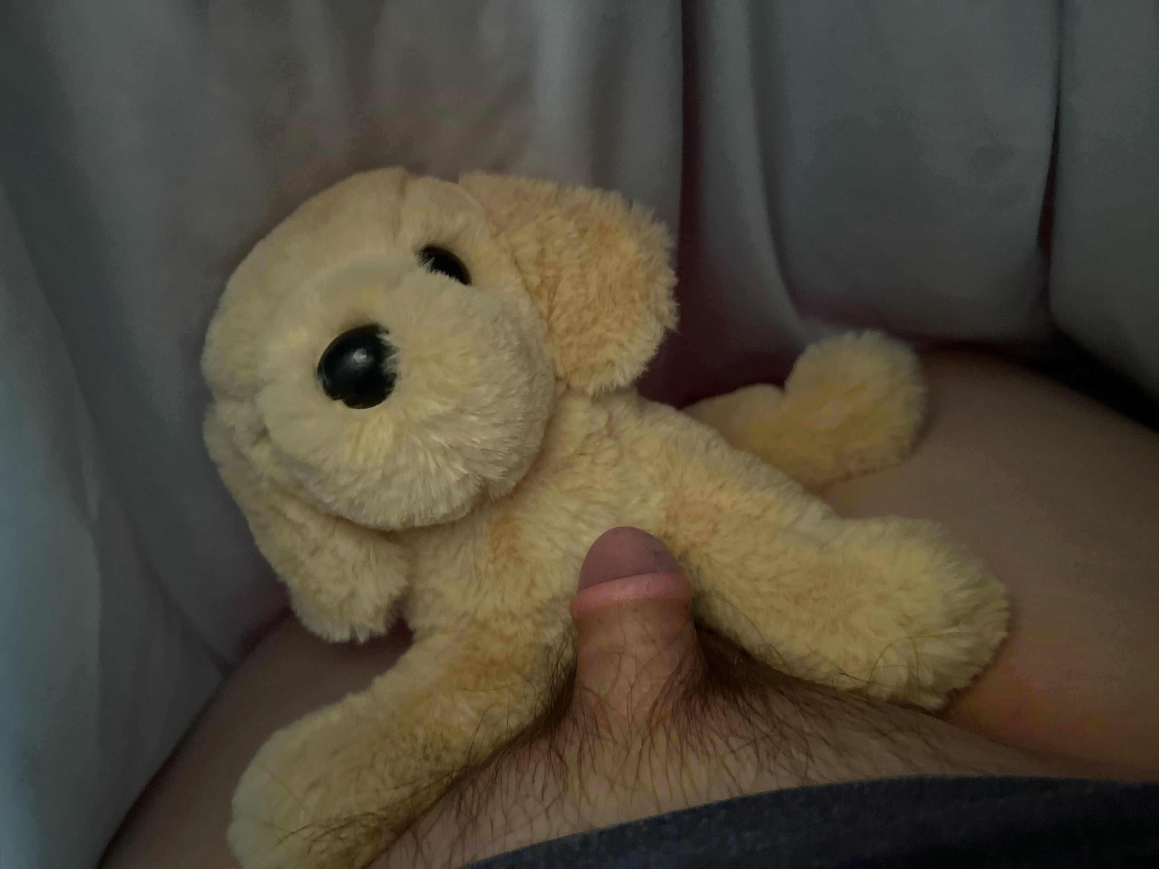 Dog taking me like a good pet