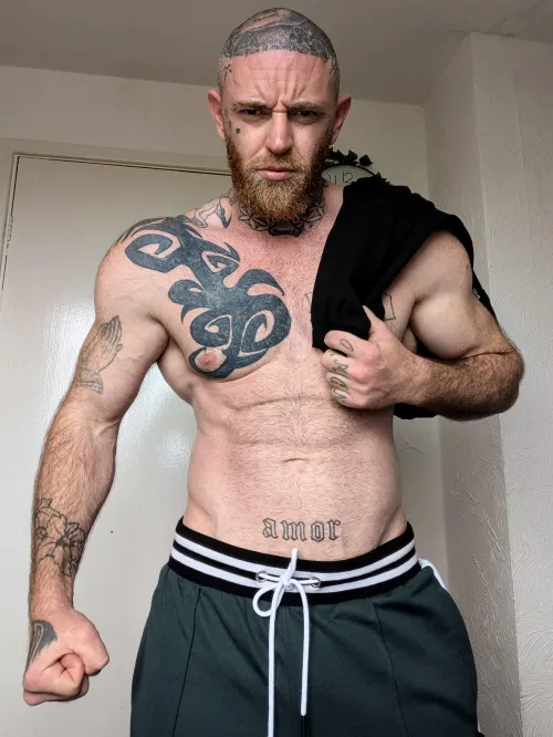 Dominant Alpha Master