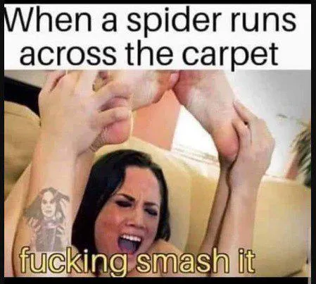 It depends on the size of the spider