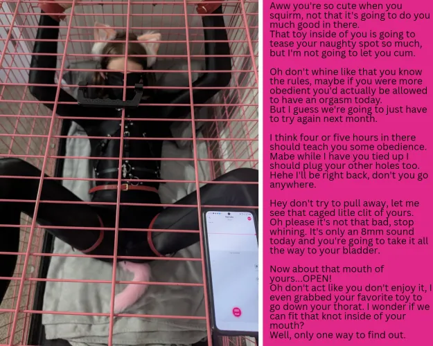 Nothing like an extended training session for a disobedient little brat of a kitty