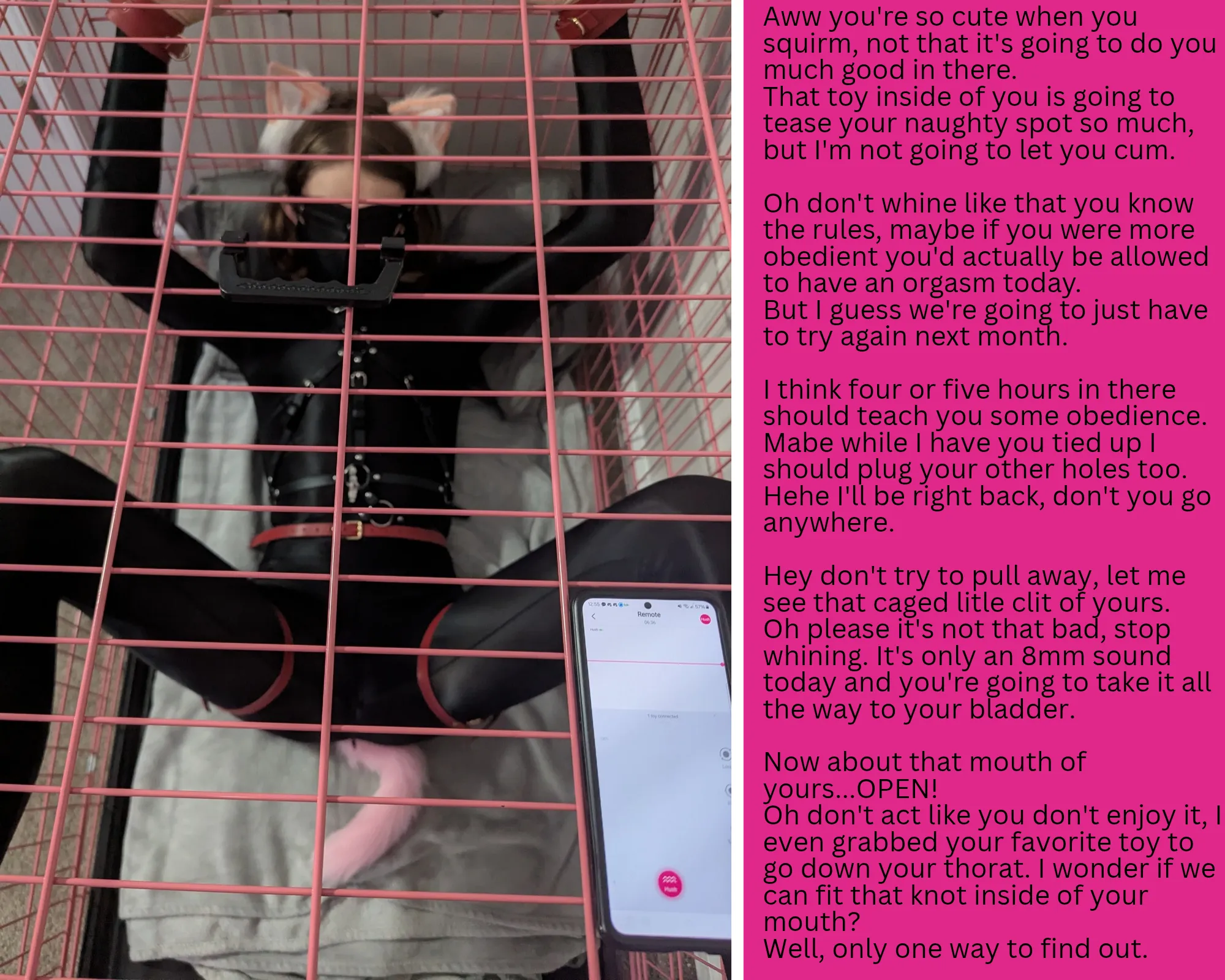 Nothing like an extended training session for a disobedient little brat of a kitty