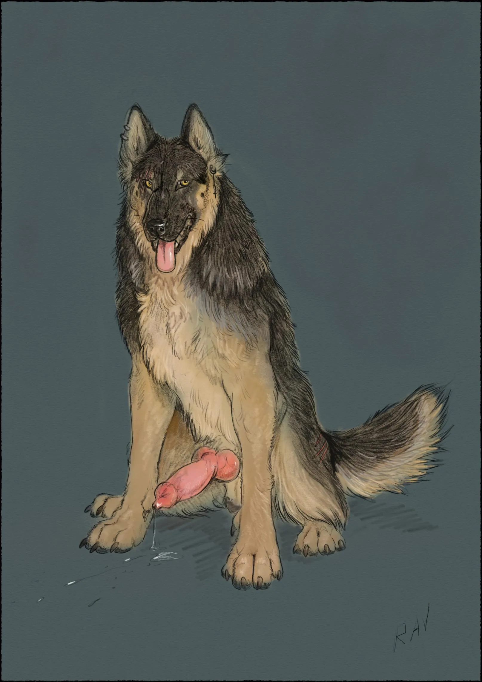 Sittin’ pretty (ravenousgnoll_(artist)) [M]