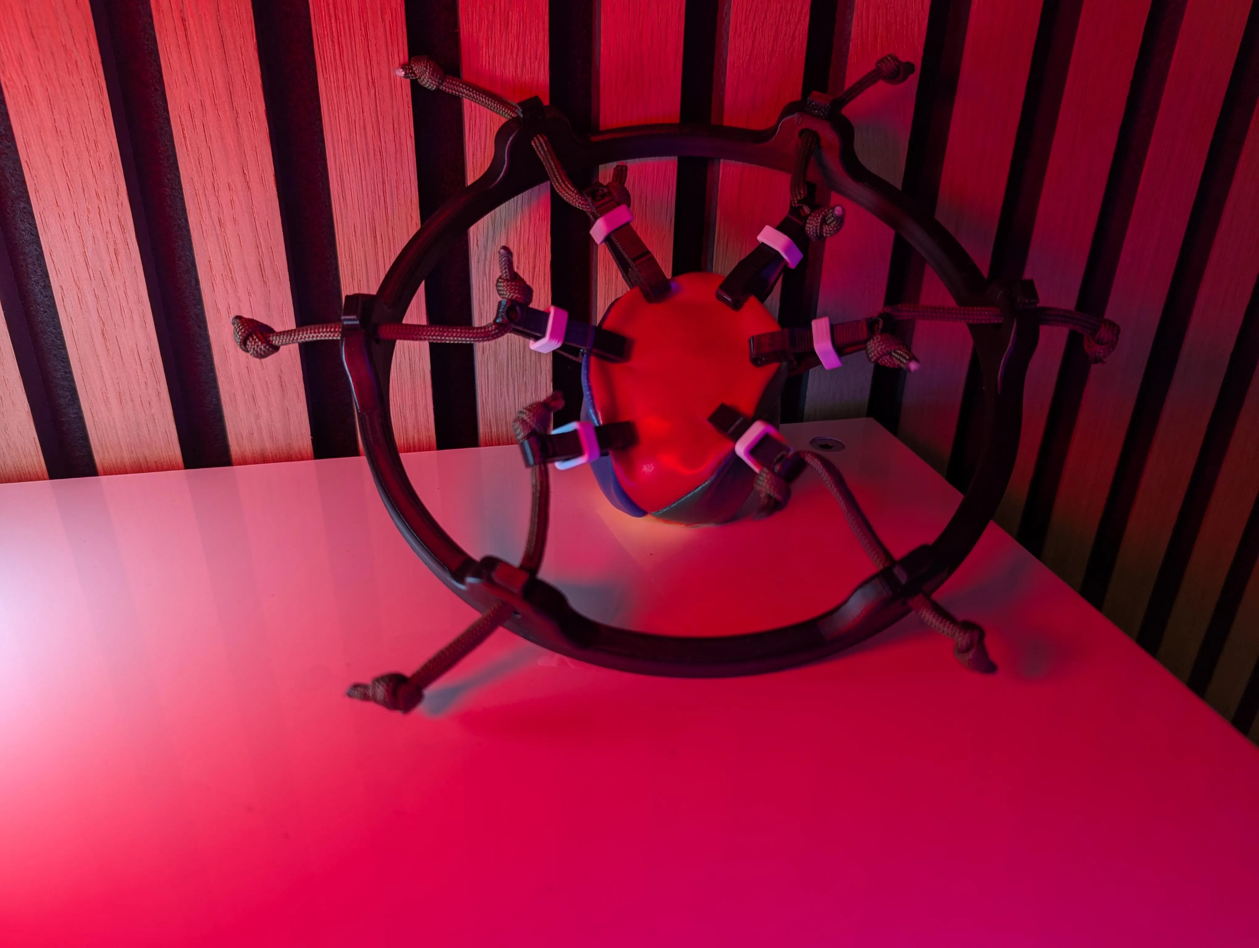 The Pain Crown - perfect for spreading the outer labia lips or the scrotum