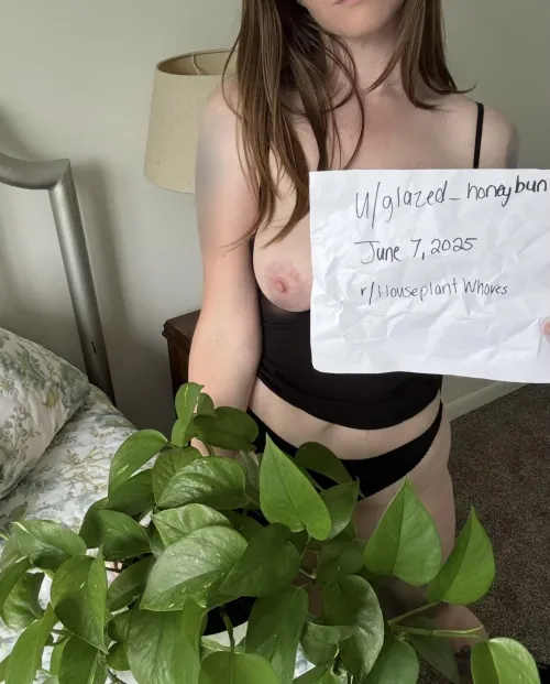 Verification Post