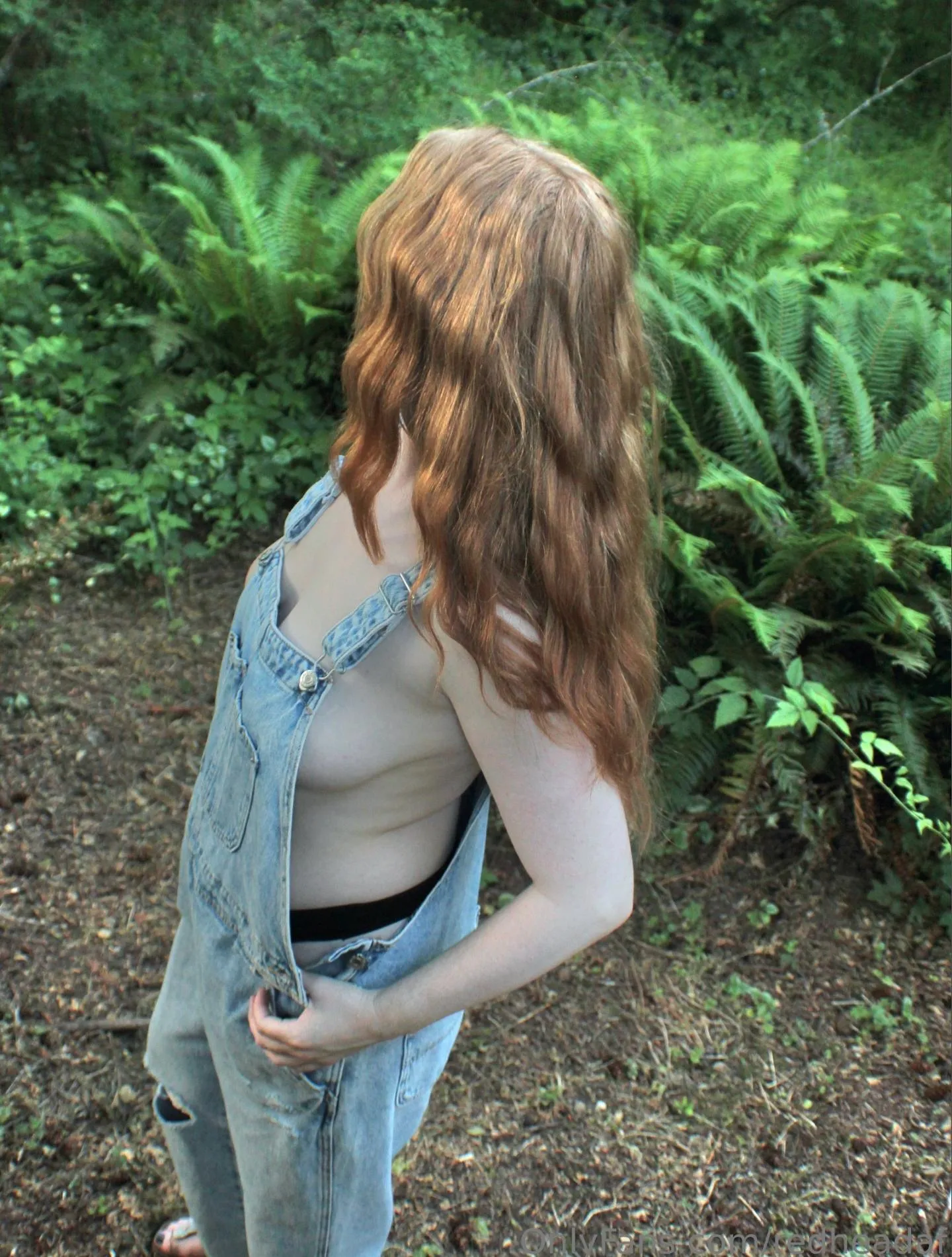 Walk through the forest with me?