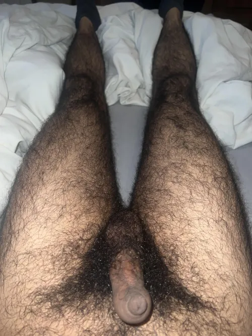 What mood has my hairy legs put you in? 😏😈