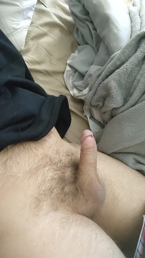 (31) [M4F] - lookig for a quick hook up today ages anywhere from 18-40