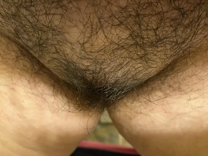 Bury your face in my bush