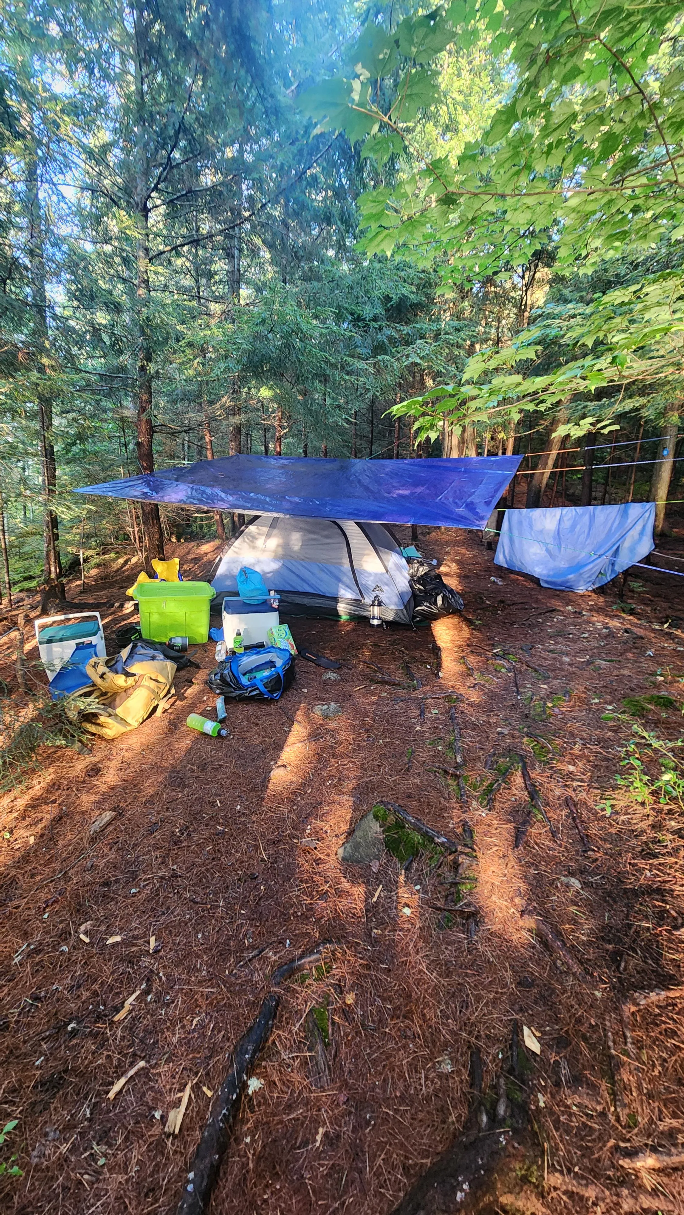 Looking around east of toronto