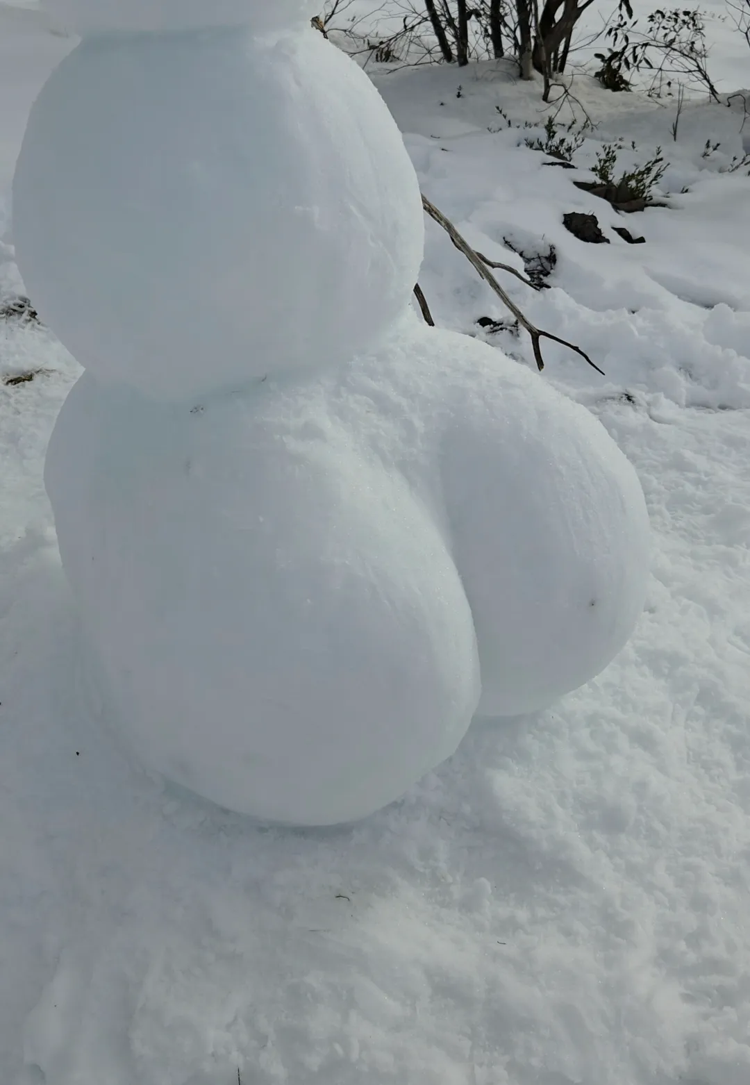 No one's birthday but there was plenty cake