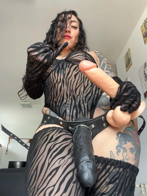 You get hard from humiliation because that’s all you’re good for.