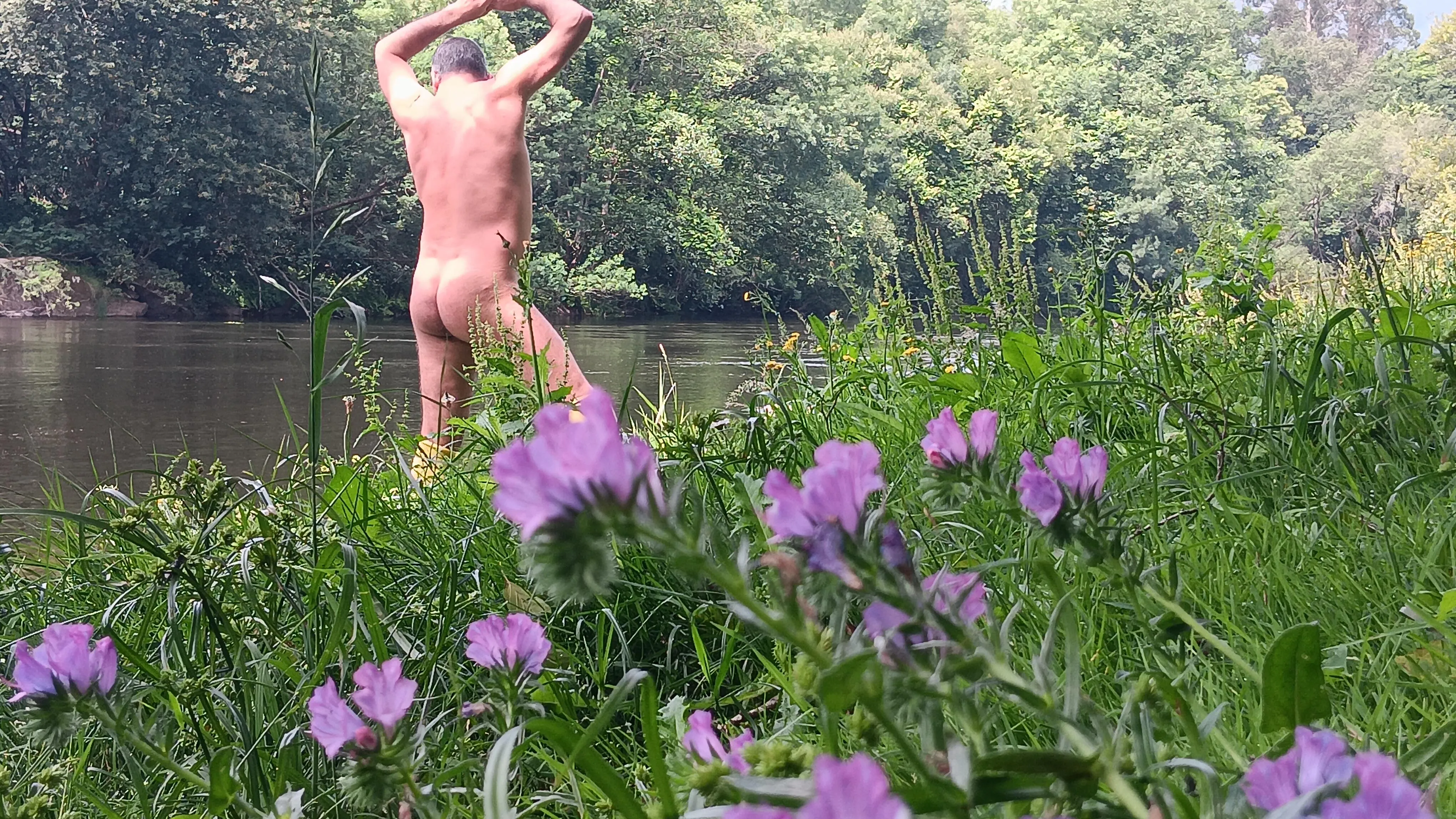 Flowers in the river