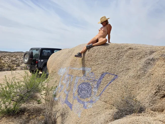 Scampered up and caught some rays ☀️🦎