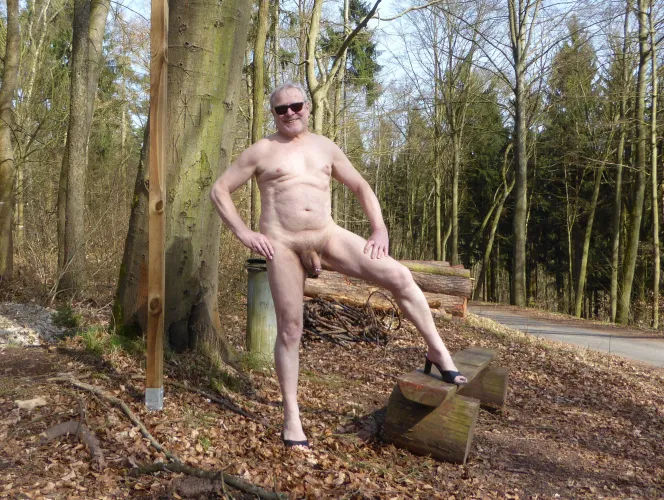 Sunny day in the woods