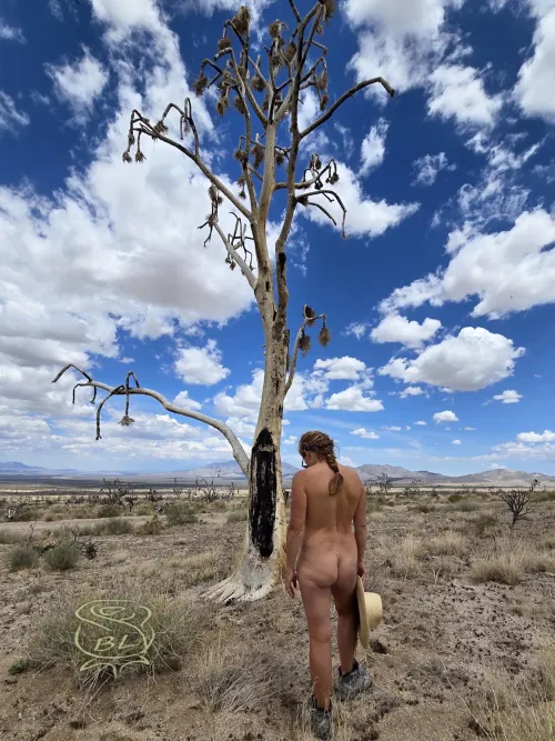 Victim of the Dome Fire 😔