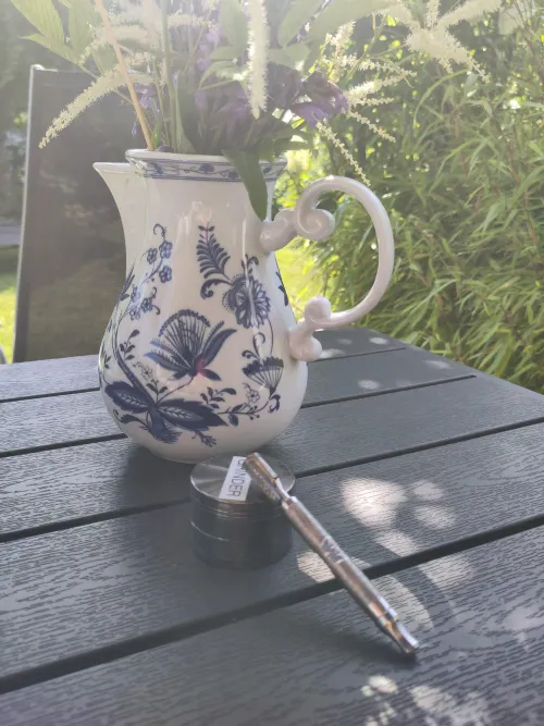 spent some time in my garden yesterday