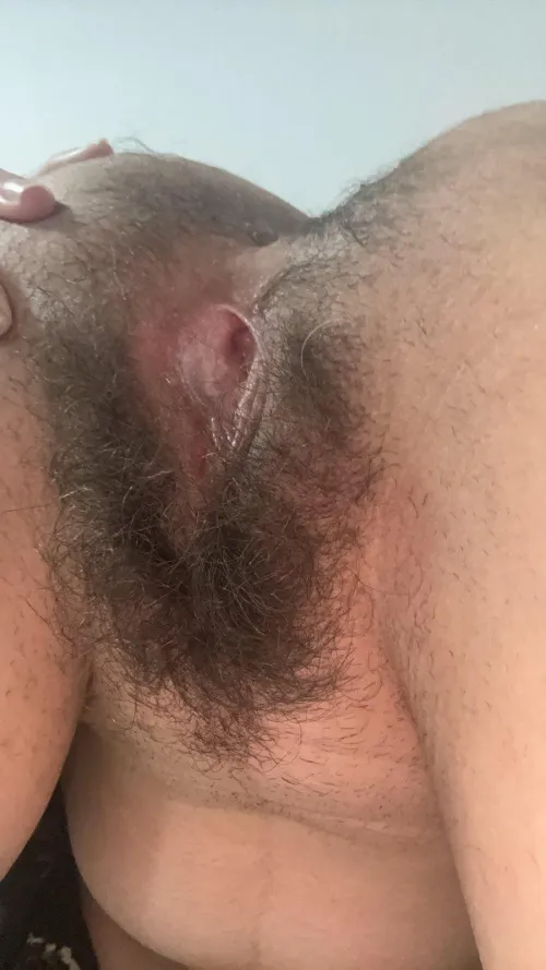 2 [h]airy holes to chose from. I bet I know which one you'll eat first