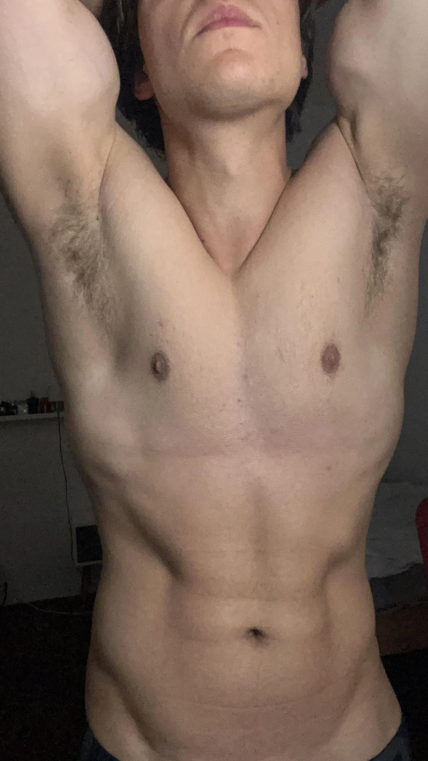 (20)Would you bury your face in my armpits?