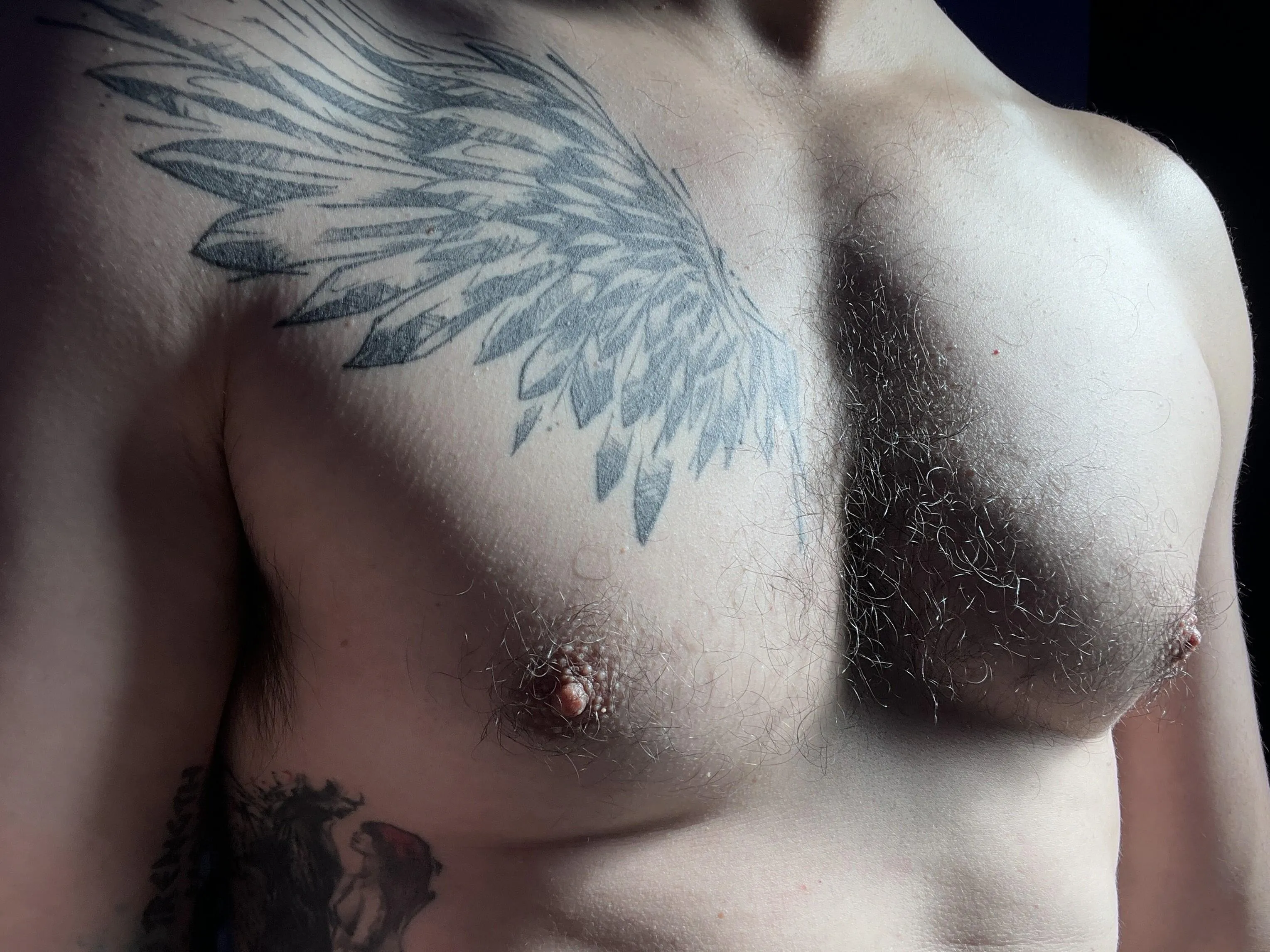 Come play with my hairy pecs