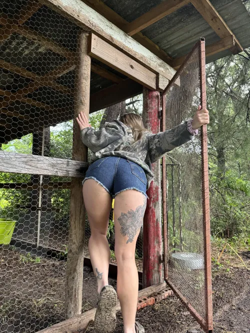 Daisy dukes in the coop