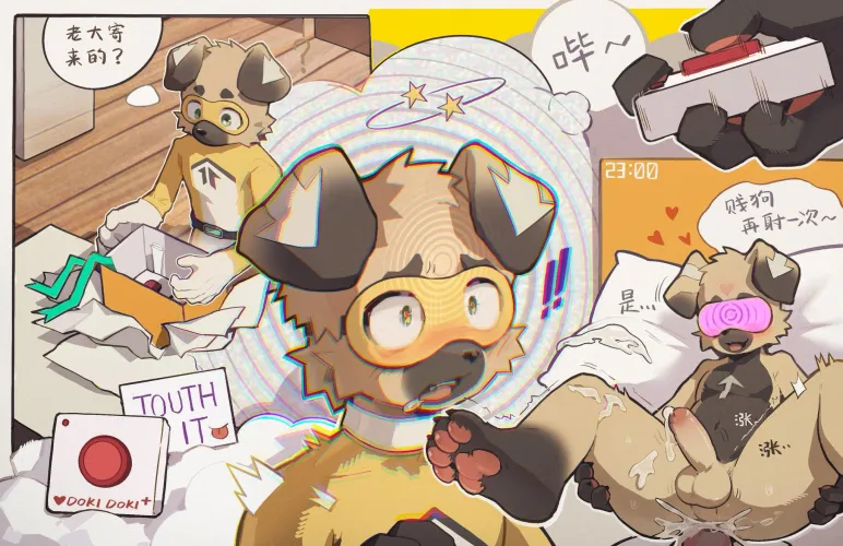 阿宇家的小狗被“关怀”了 Ayu's puppy is being cared for. (Mintcat2778 彦菲燕)