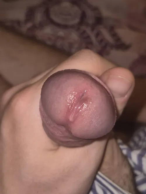 do you like my wet pisslit?