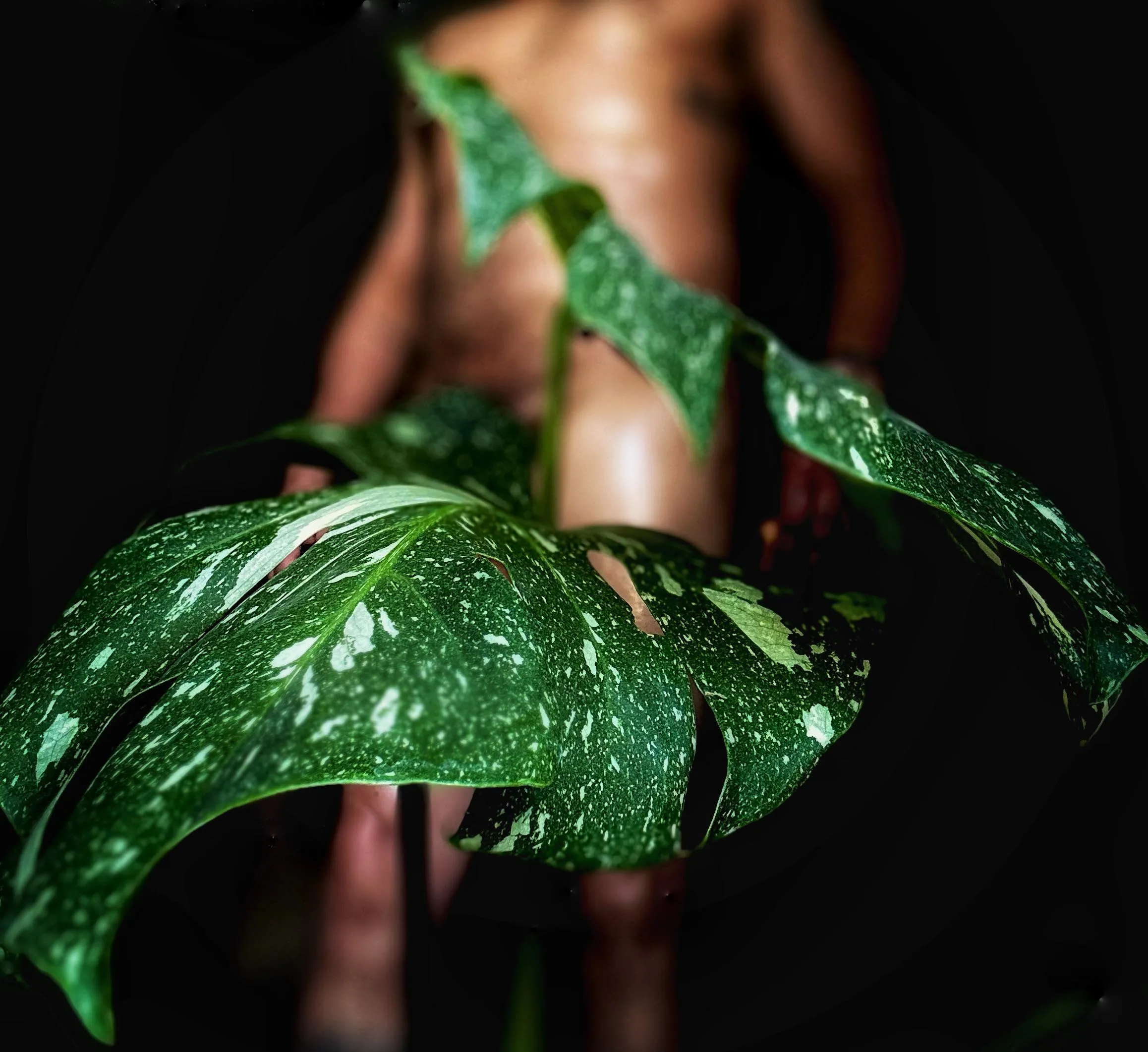 I just love her colors