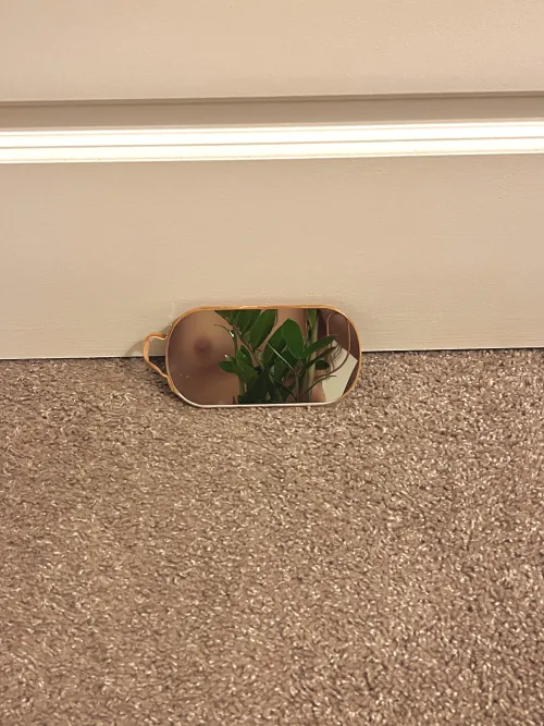 I spy with my little eye a titty in a jungle