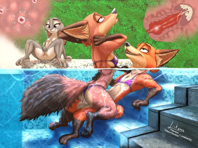 [NSFW] Pool party! (link6432) [MF]