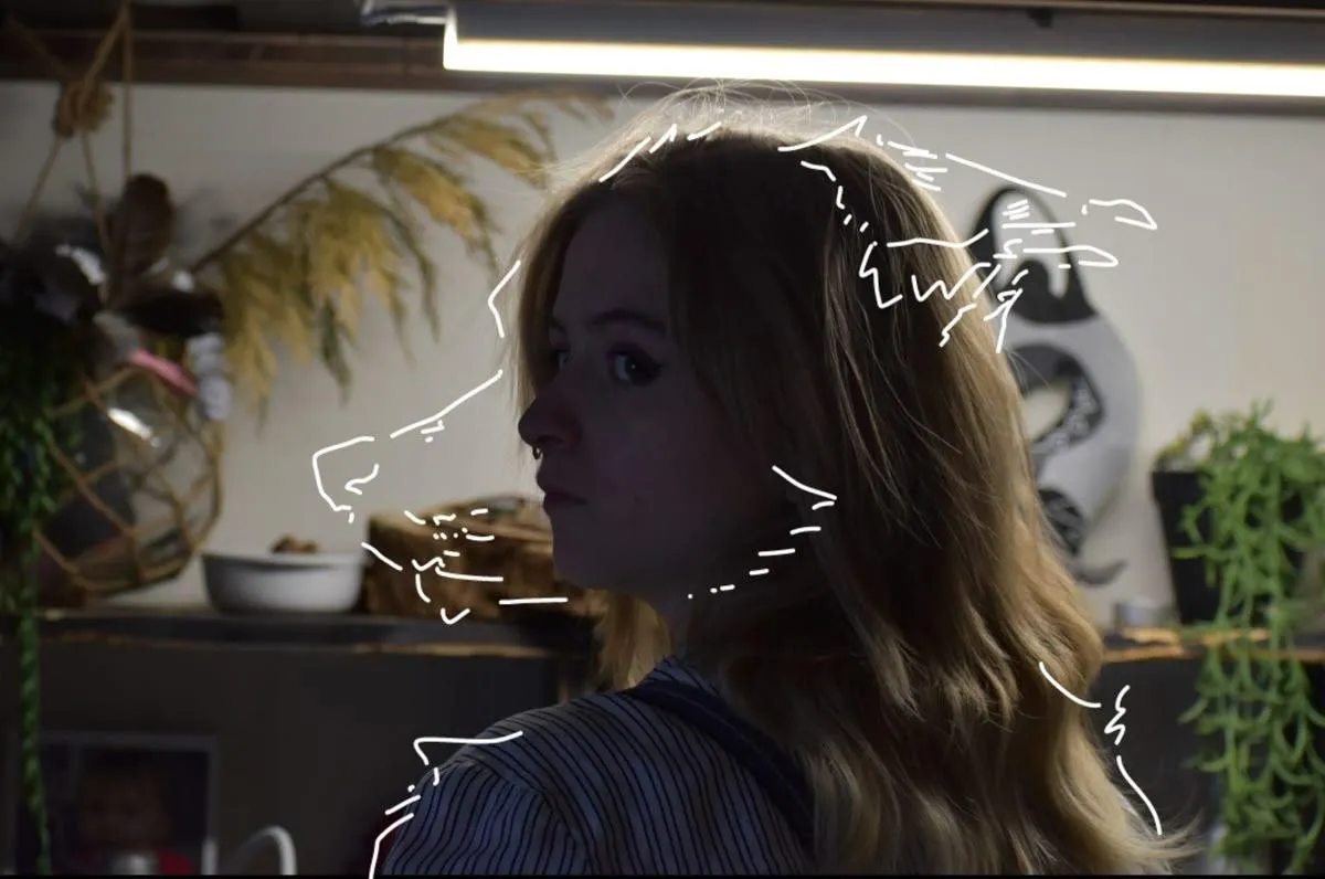 Don’t really know what this kinda art is called…