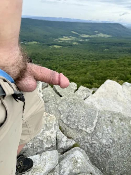 Enjoy the view