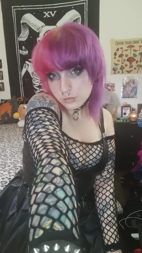 Is this new pfp material?