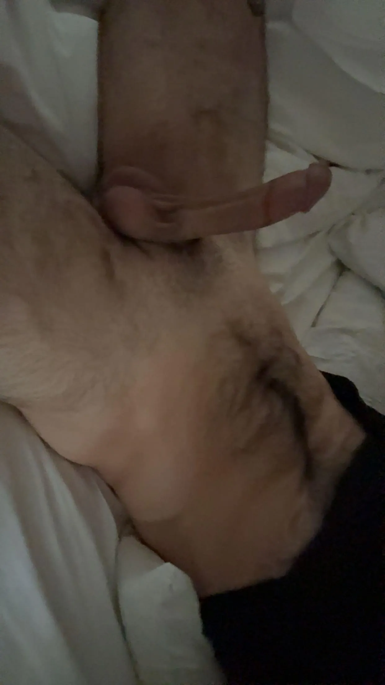 [m] 28 - south Charlotte