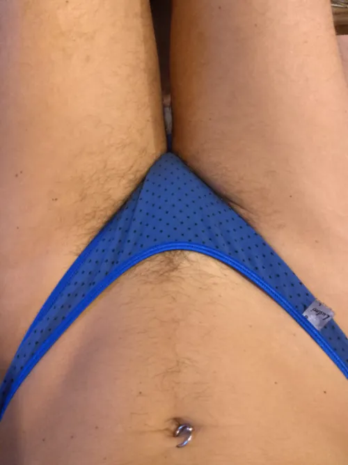 Obey me and you will lick it