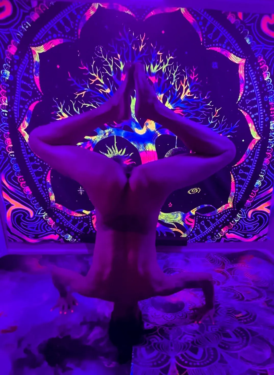 Rule 1… there are no rules 😏