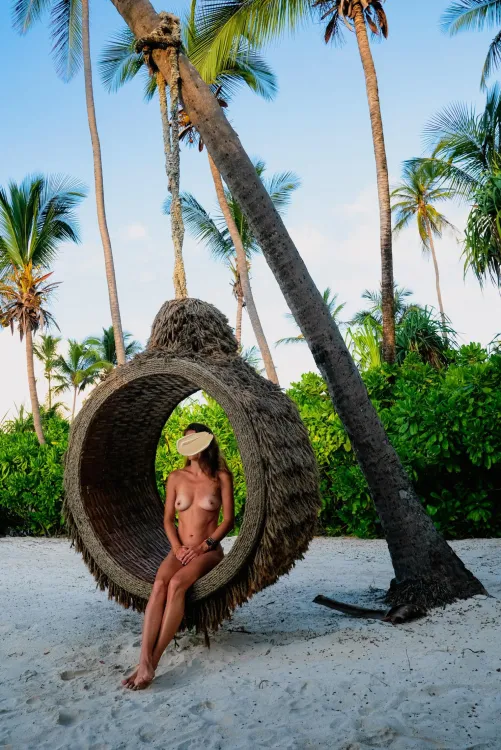 Under the Palm Trees