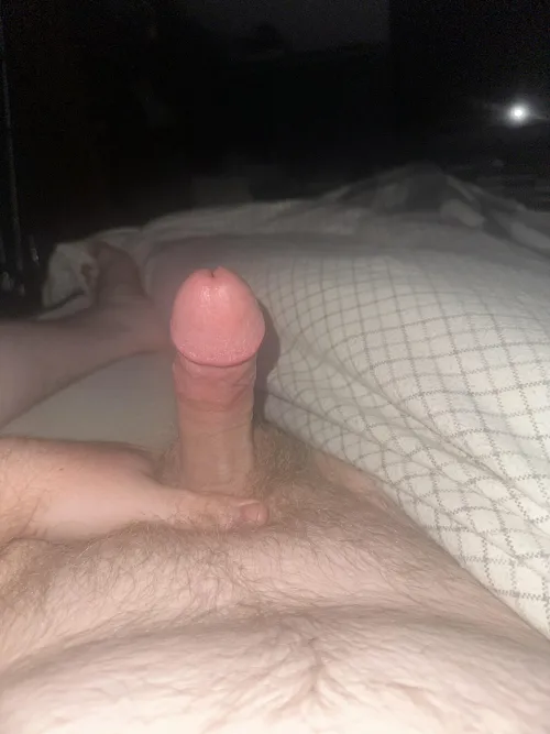 22 switch [M] looking for a dominant female or a femboy