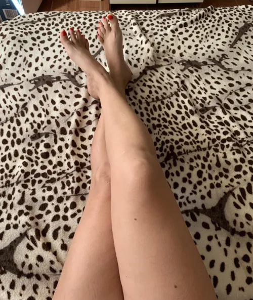 Every inch of my legs is your new obsession